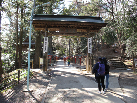 20160226hike (173)